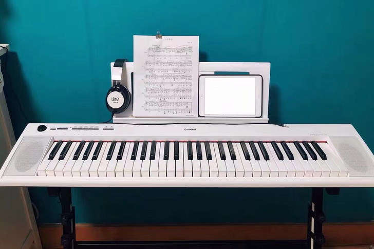 Yamaha/雅马哈 NP-12白色原装电...