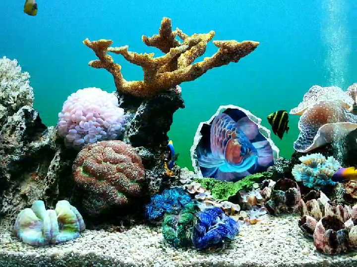 Hisense/海信 HZ75E5A 75...