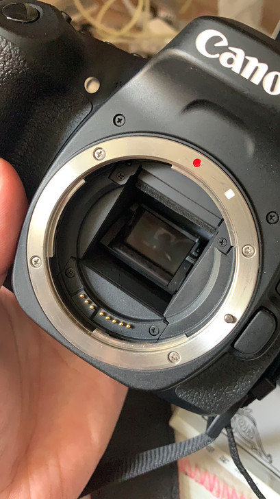 佳能80D，学生党自用相机，快门少，无拆修...