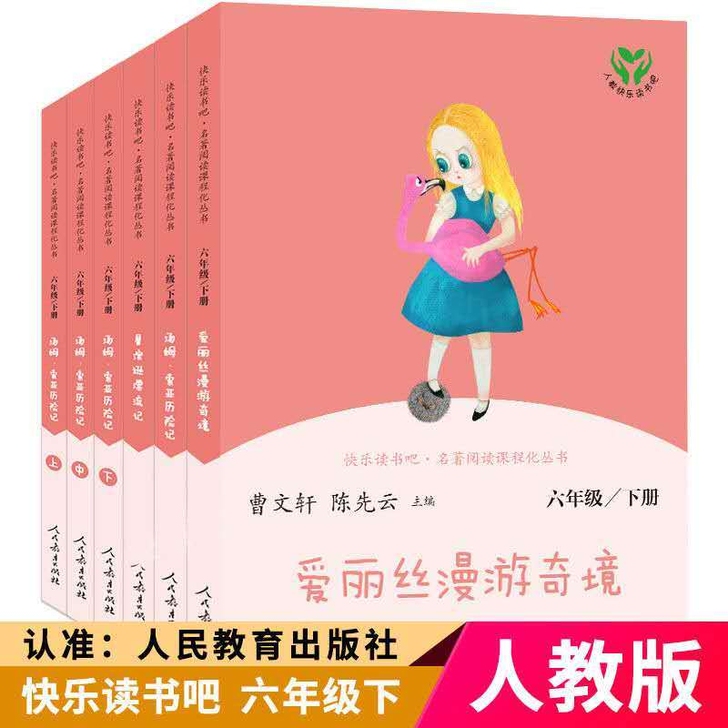 爱丽丝漫游奇境鲁滨逊漂流记六年级下册全六册...