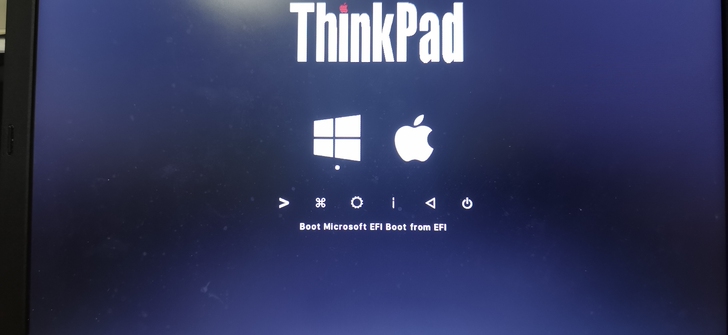 ThinkPad x230i 双系统