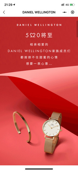 100不是实际价格，私聊可议价！