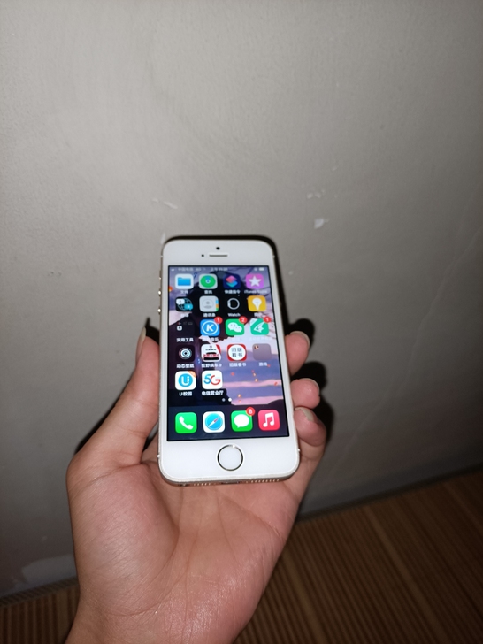 iPhone Se一代。日版无锁64g插卡...