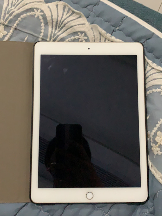品牌型号 iPad Air 2