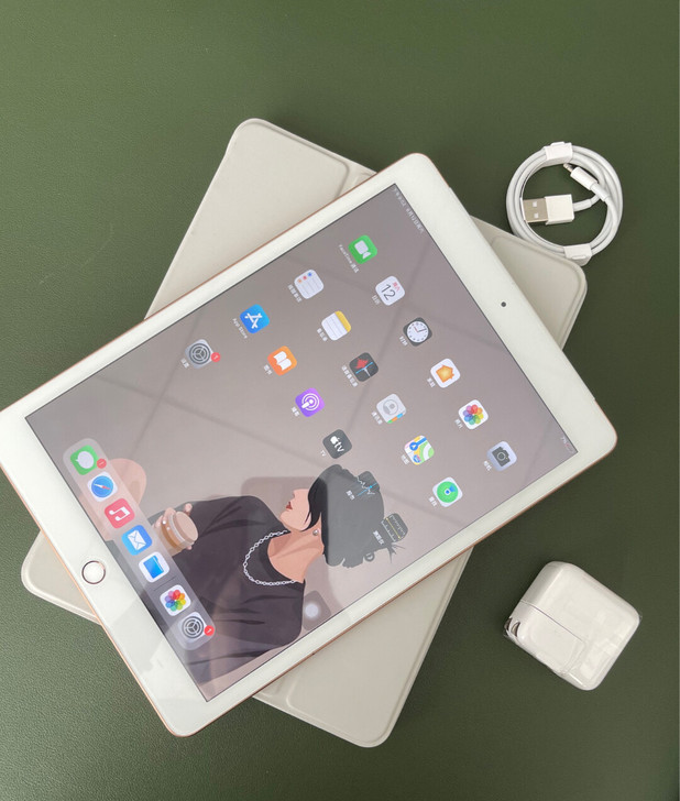 急转2019 iPad 4Gwife 白色...