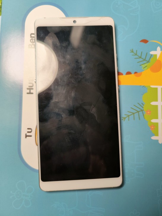 坚果Pro2，6+64，白色除了顶上的磕碰...