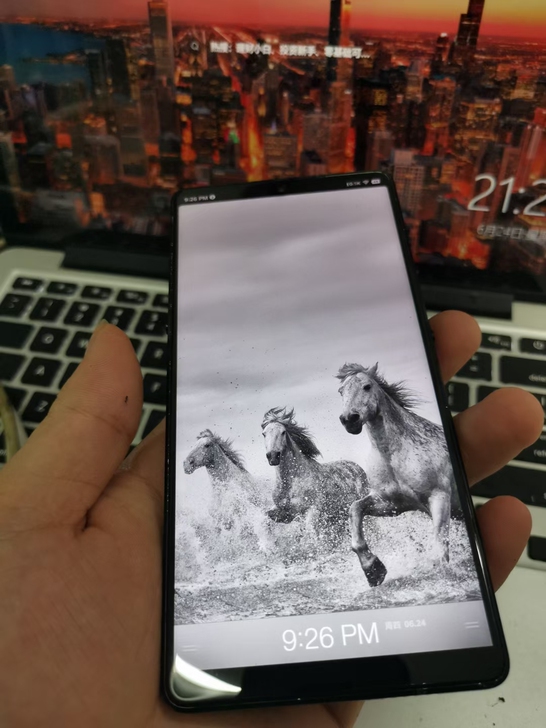 锤子坚果R1