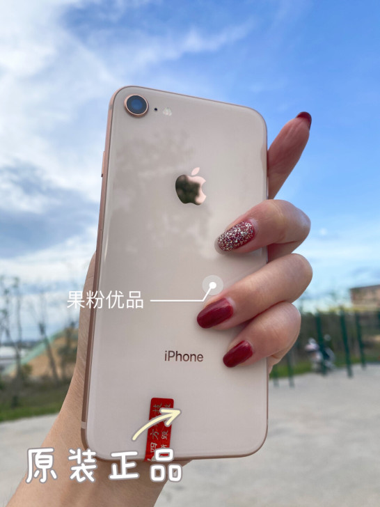 闲置二手iPhone8 256G 苹果8 ...