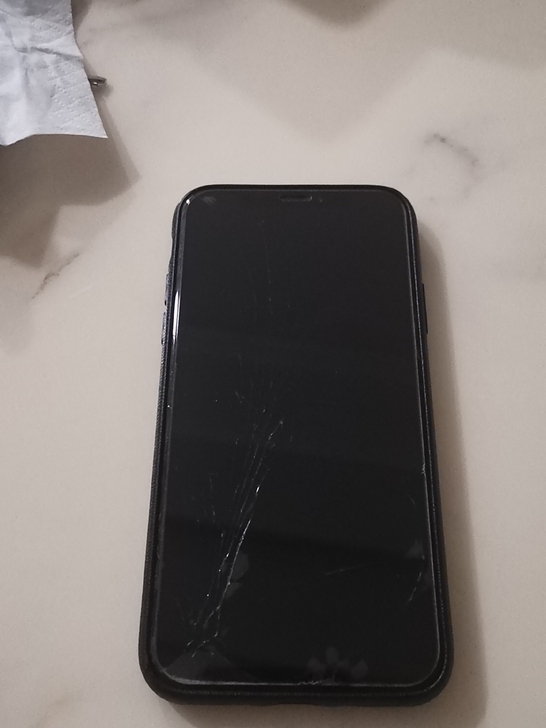 女生自用iphone x 256G ...