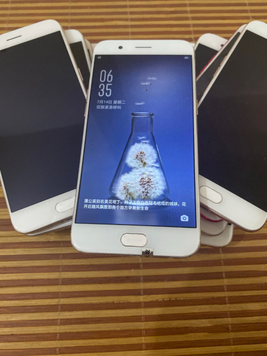 OPPOR11手机 oppor11全网通工...