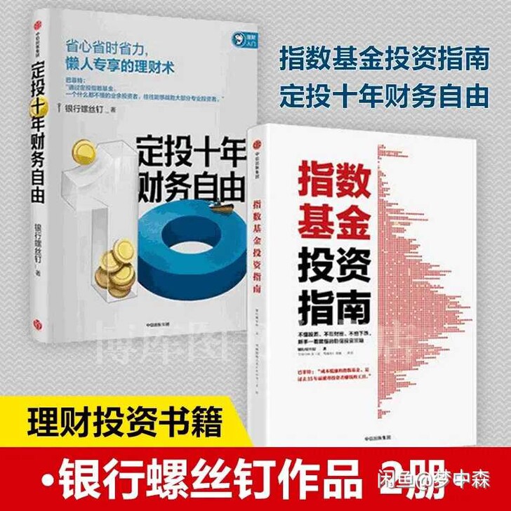 投资指南书籍(套装共2册)定投十年财务自由...