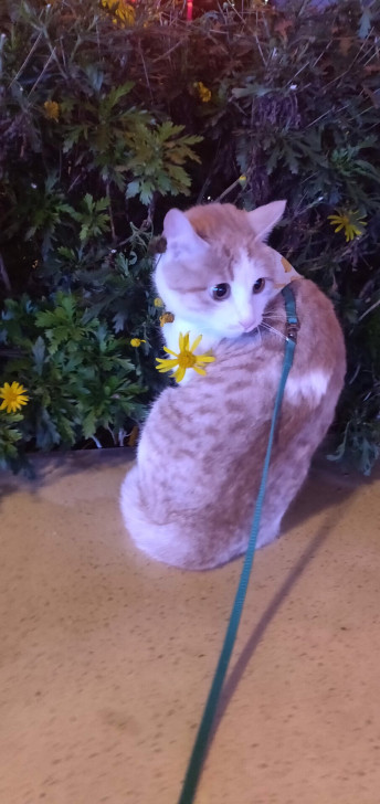价格私聊