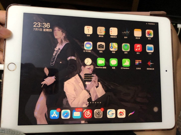 出自用 iPad 国行 2017款 爱思全绿