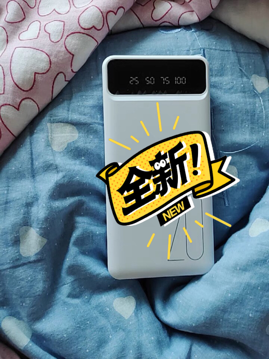 亏本处理20000充电宝的 一个19.9...