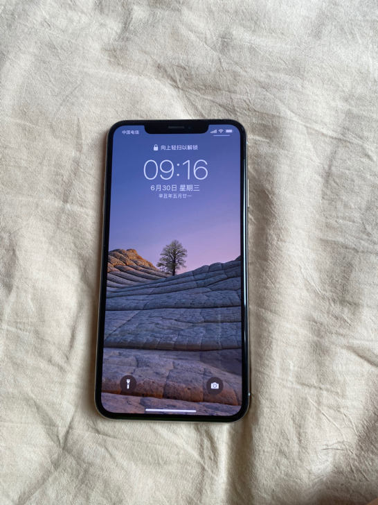 Apple/苹果 iPhone xs ma...