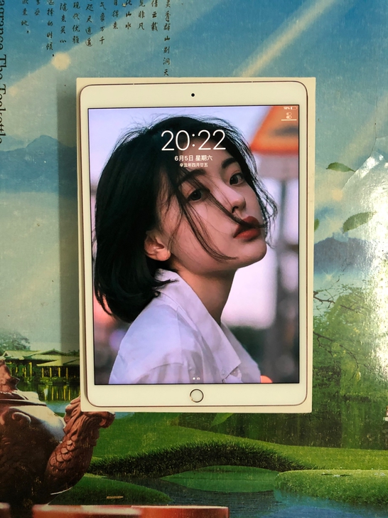 iPad pro2代 10.5寸 插卡版2...