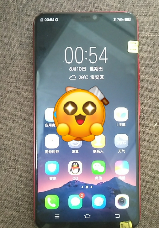 vivo X21