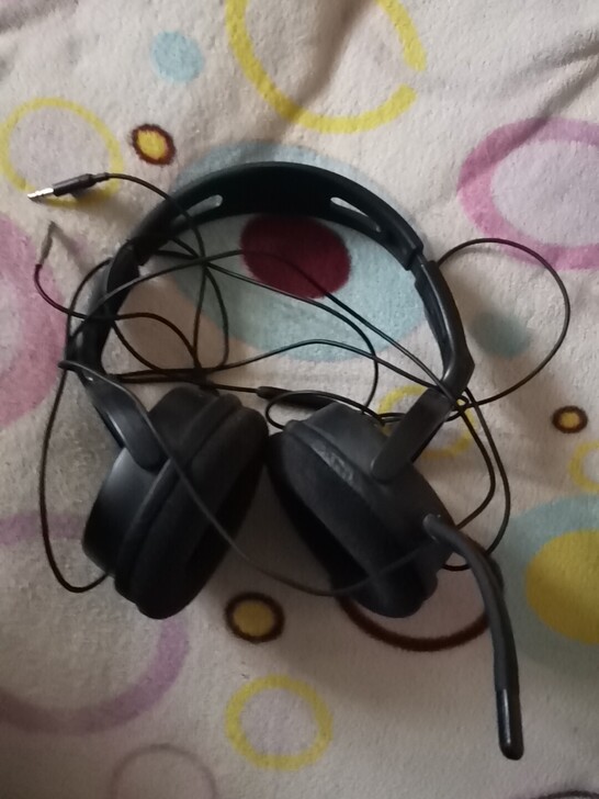 原装带麦飞利浦头戴式耳机,正常使用,可自取...
