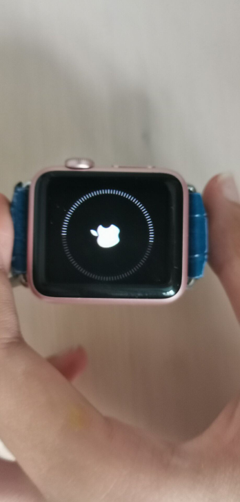Apple Watch初代，Apple W...