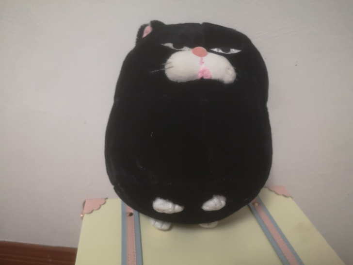 帽帽三个送猫猫玩偶