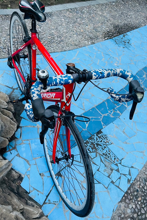 美利达RIDE902公路车