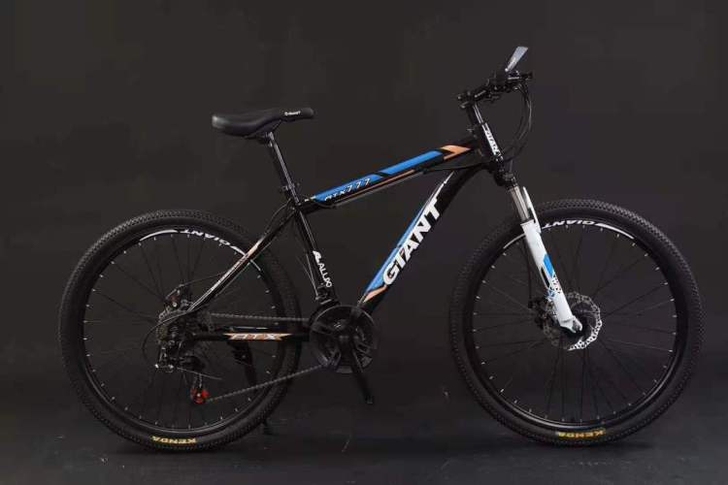 闲置出售捷安特山地车自行车男女中青年学生变...