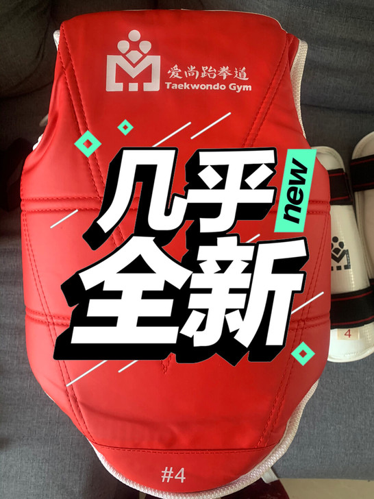 爱尚跆拳道护具 4号