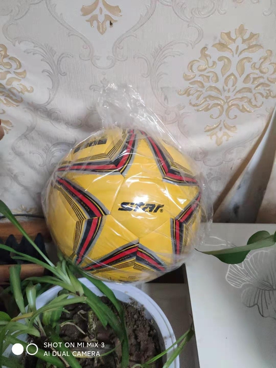 世达1000, 5号足球, 4号足球,世达...