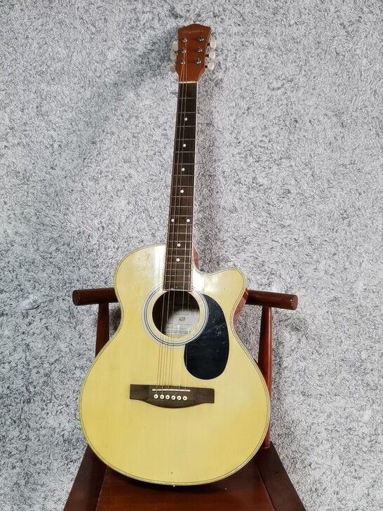 吉他. 大学社团买的，比较适合初学者学习，...