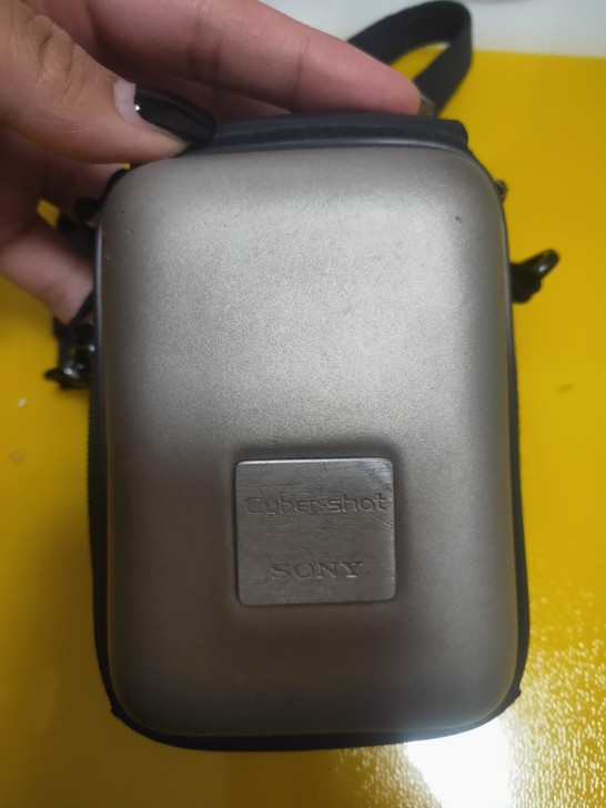 日本索尼相机，全日本原装，我爸去日本出差带...