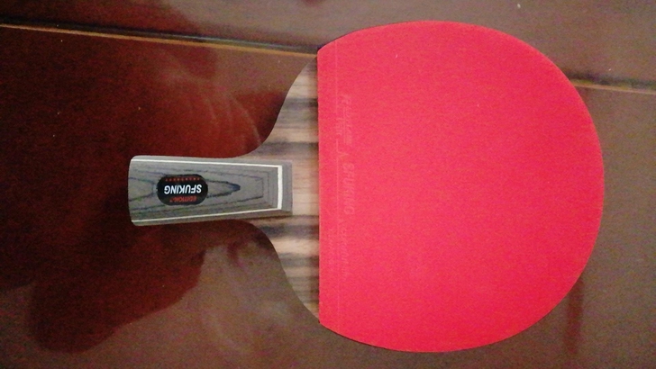 乒乓球拍，包邮，朋友送的，95新！