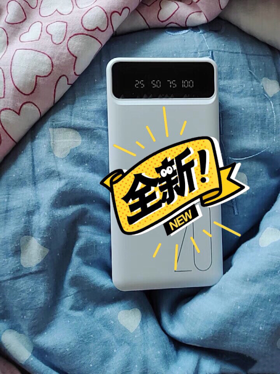 亏本处理20000充电宝的  一个19.9...