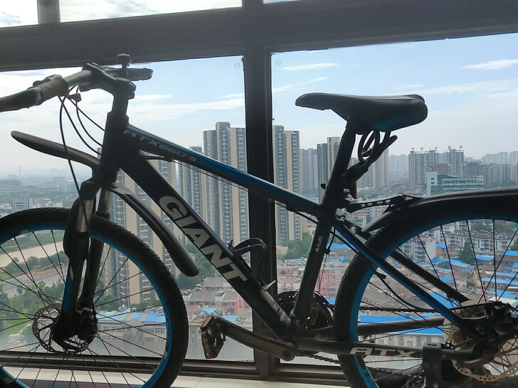 自己用的GLANT自行车，磨损有点严重不影...