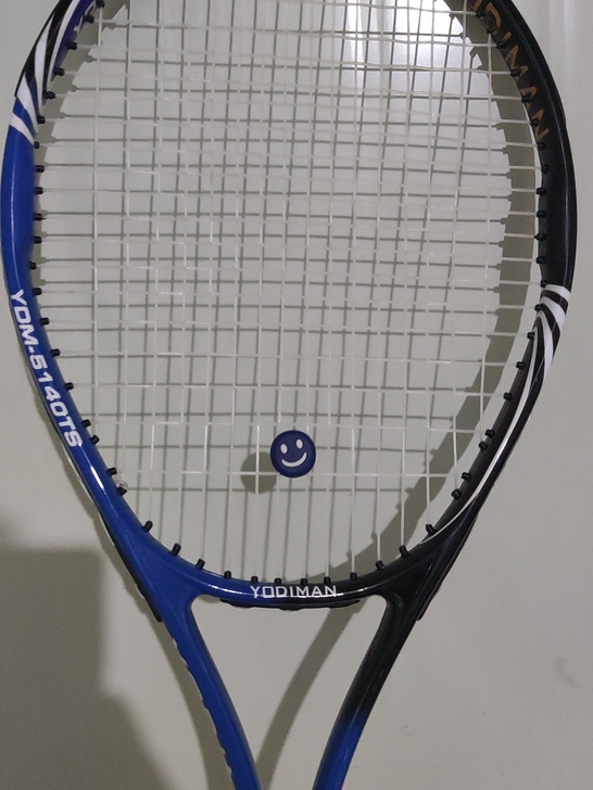 尤迪曼网球拍。送一个网球，几乎全新。握把那...