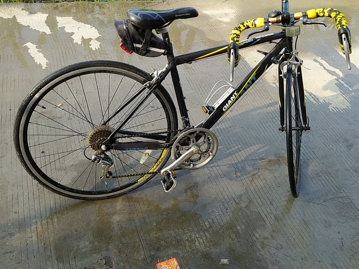 捷安特死飞赛车