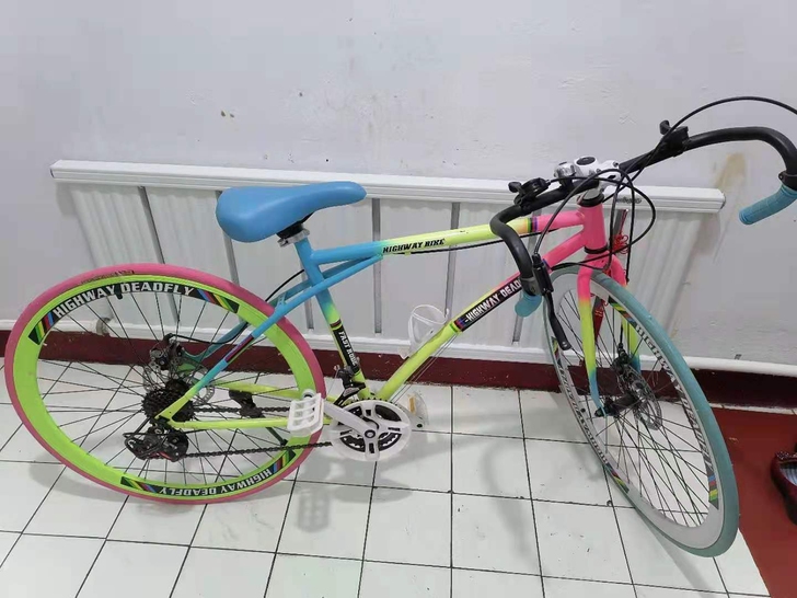 公路死飞,全新,没上过道,组装后孩子不喜欢...