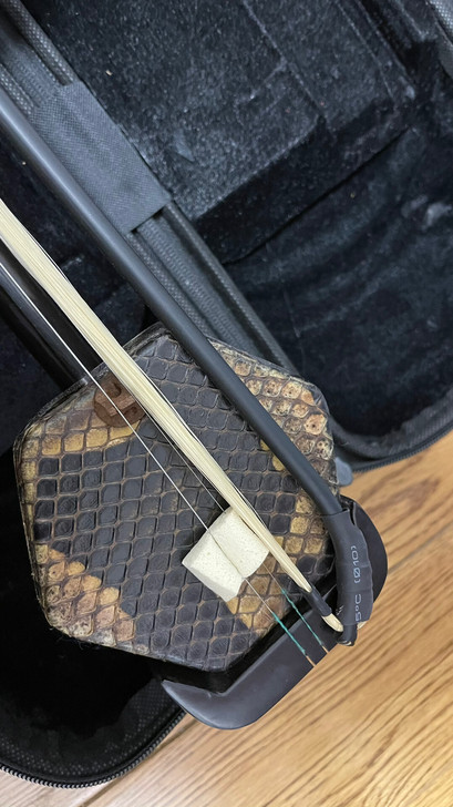 新二胡，男女老少皆可用