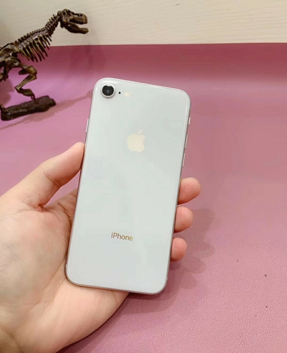 256G闲置iPhone8带指纹、功能全好...