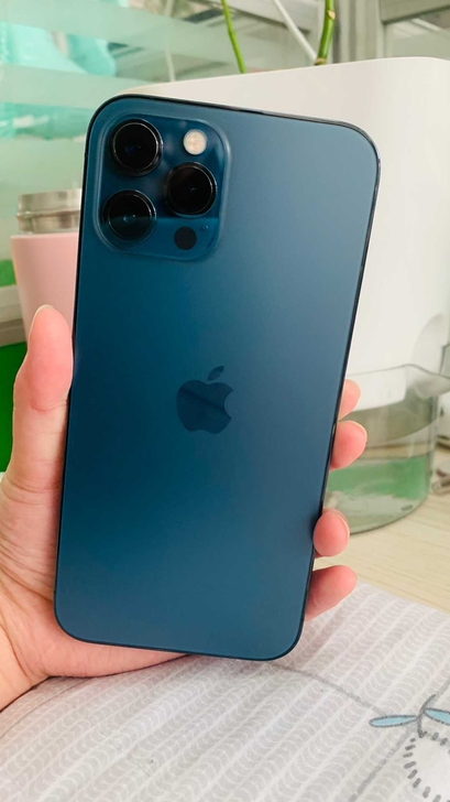 自用12promax内存 256g 石墨色...