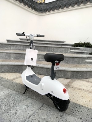 [出行甄选]okai迷你电动车小型车女士折...