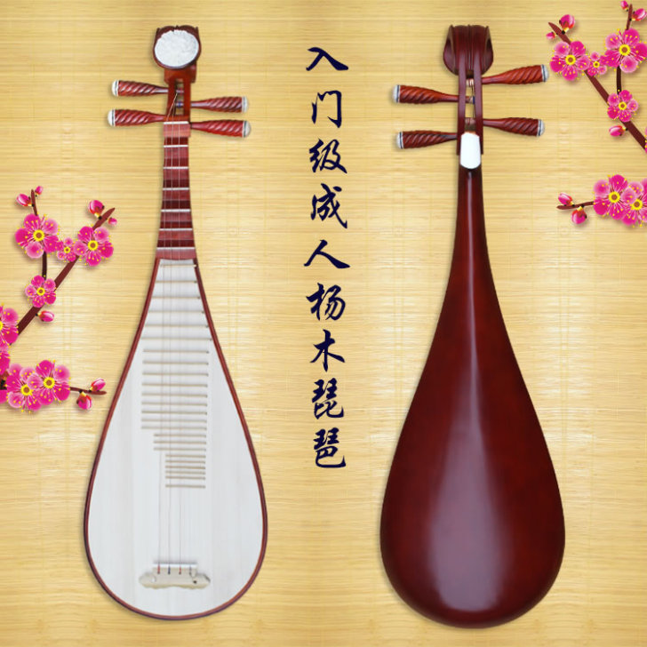 华乐琴韵成人琵琶初学者入门练习级，全新未使...