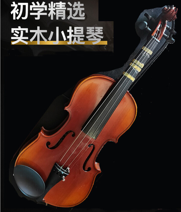 小提琴 儿童成人初学者学生练习实木小提琴