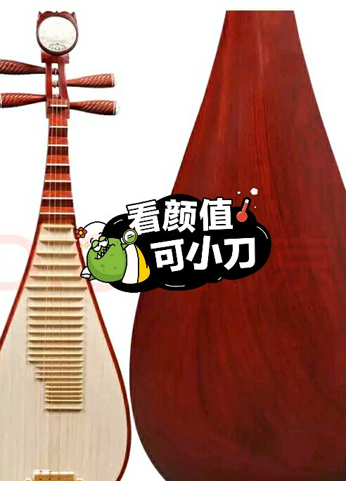 学生琵琶，适合小学生初学使用