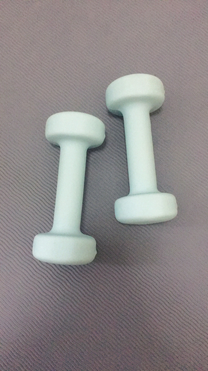 彩色浸塑哑铃  水蓝色  2kg*2