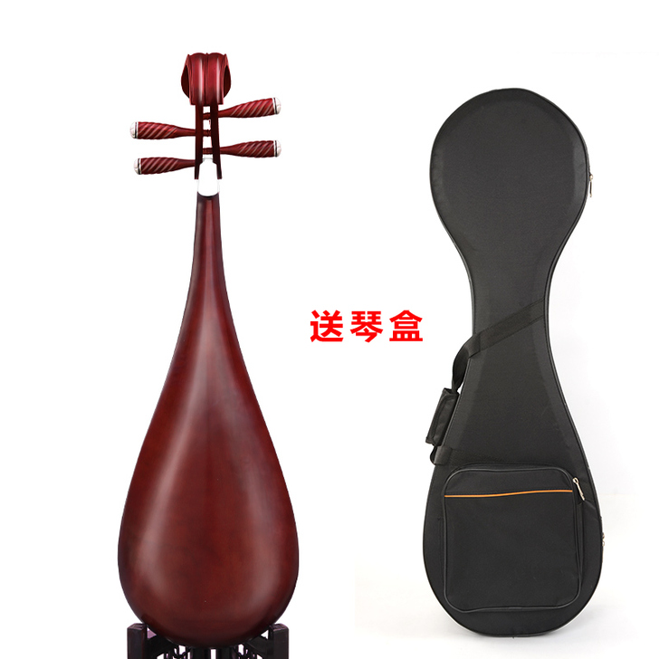 琵琶乐器初学入门儿童成人硬木红木练习演奏花...