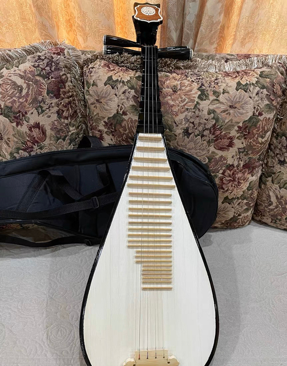 黑色成人普及琴，教学琴。