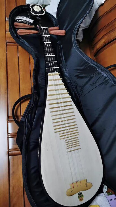 敦煌儿童琵琶594，孩子买来弹了2节课，不...