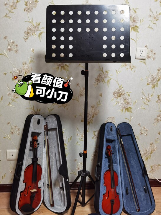 闺女初学小提琴的装备，闲置也是浪费，转卖是...