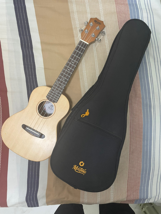 低价出售原价300快，全新尤克里里23寸，...