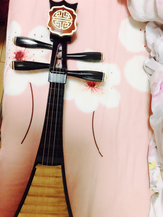 星海成人如意头琵琶，买了新的，旧的不用了，...